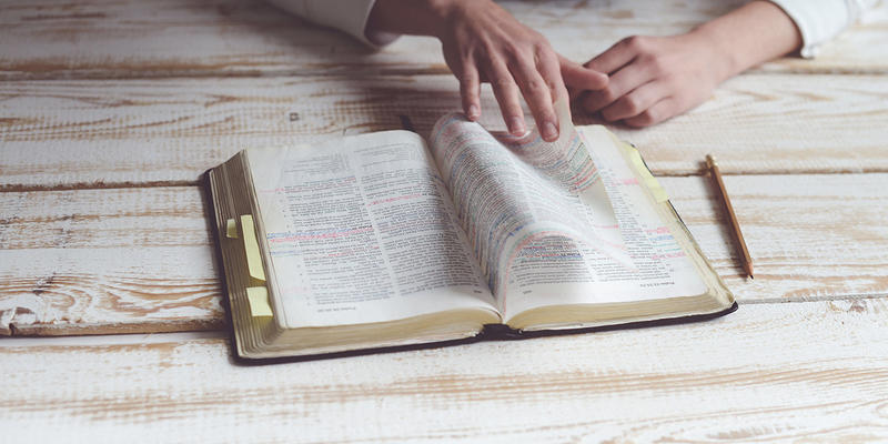 BIBLE