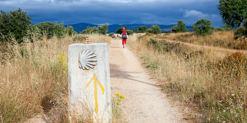 CAMINO,SANTIAGO