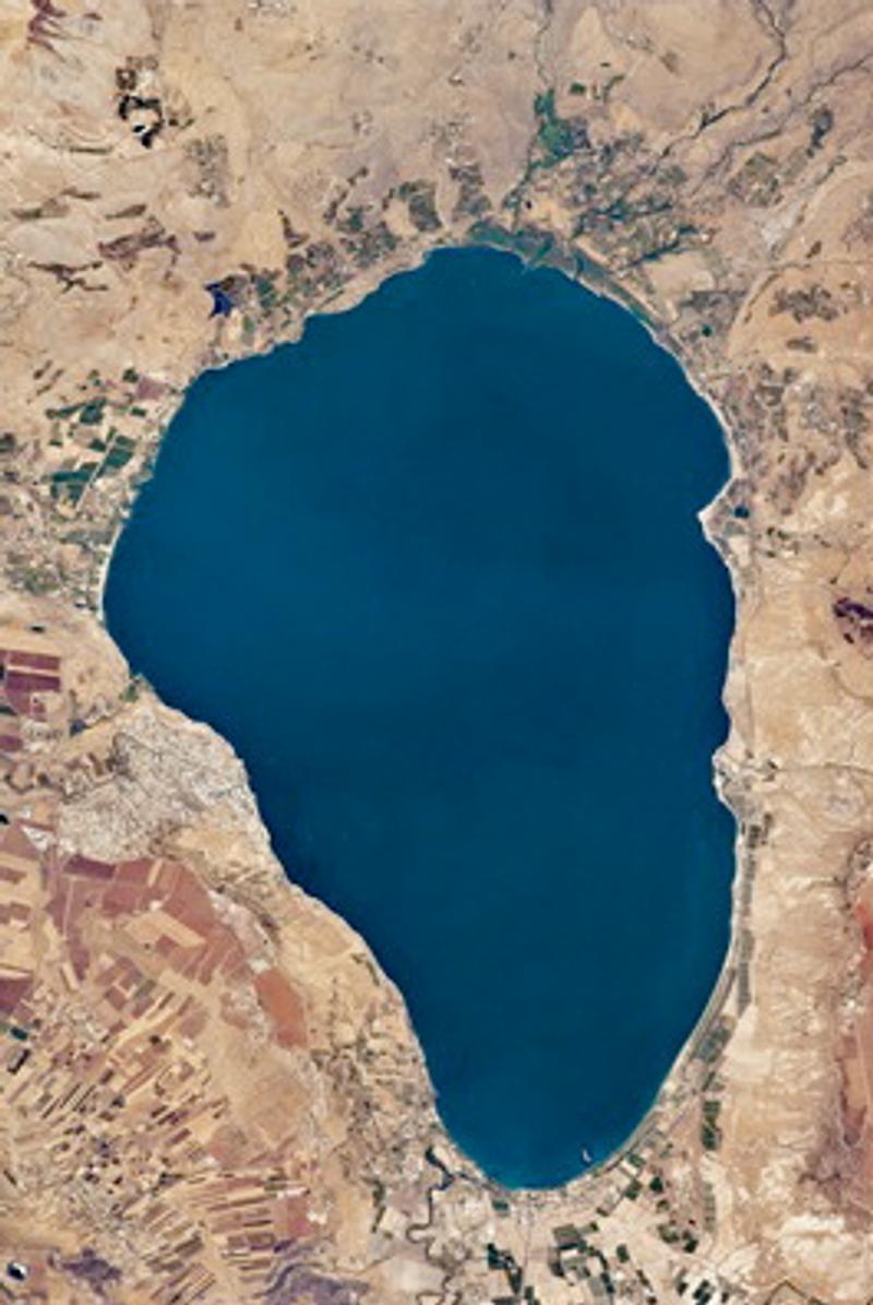SEA OF GALILEE; HARP