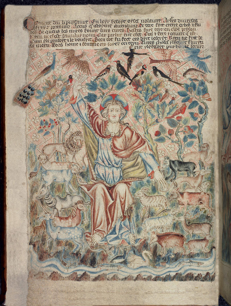 Holkham Bible