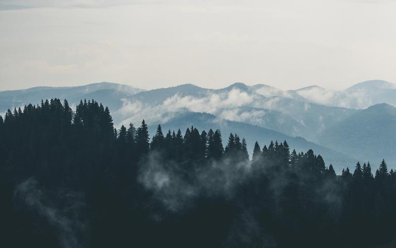 CYTATY, KTÓRE PODNOSZĄ NA DUCHU