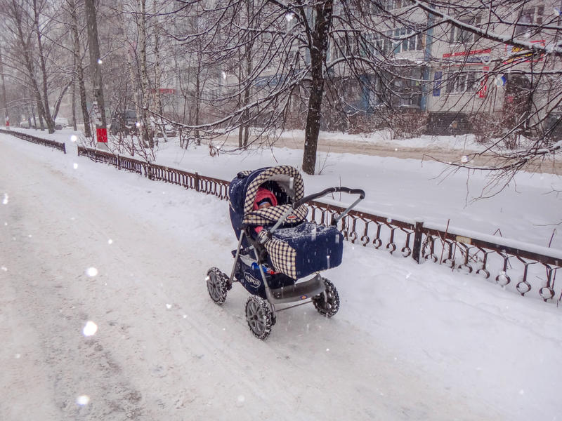 NEWBORN IN THE FROST
