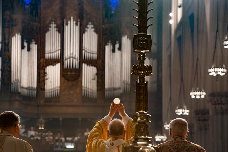 PRIEST,EUCHARIST,HOST,CONSECRATION