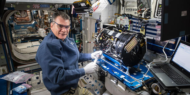 PAOLO NESPOLI