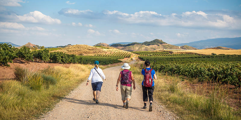 CAMINO