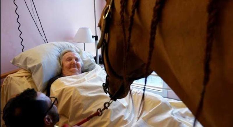 HORSE THERAPIST