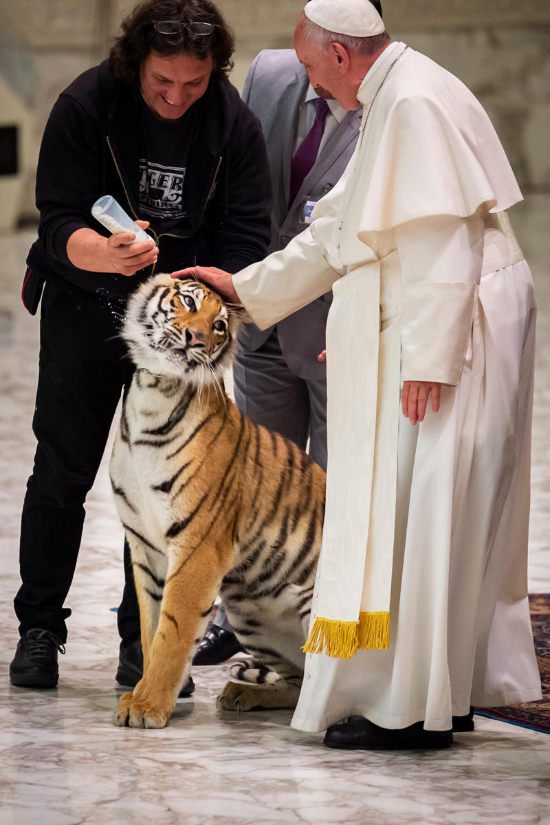POPE FRANCIS AUDIENCE