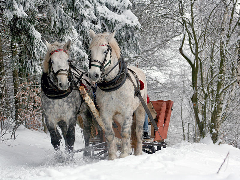 SLEIGH RIDE