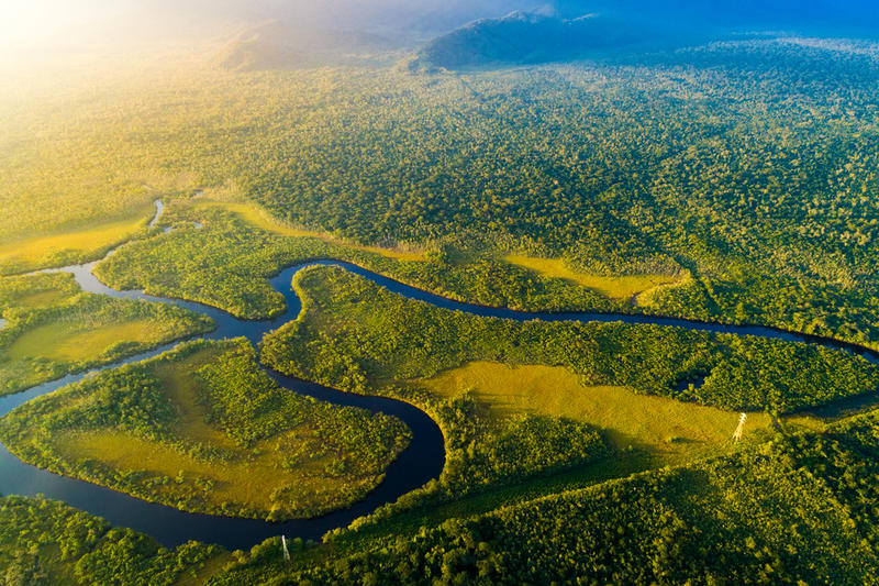AMAZZONIA FORESTA PLUVIALE