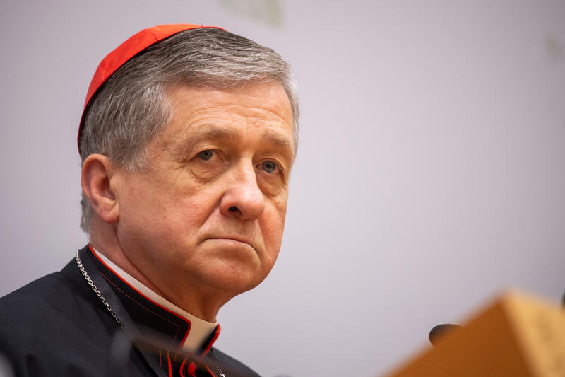 AM022019B - Blase Joseph Cupich - AUGUSTINIANUM BREEFING VATICAN SEX ABUSE - Antoine Mekary - ALETEIA - I.Media AM_4820 - Aleteia.org - Italiano VATICAN SEX ABUSE