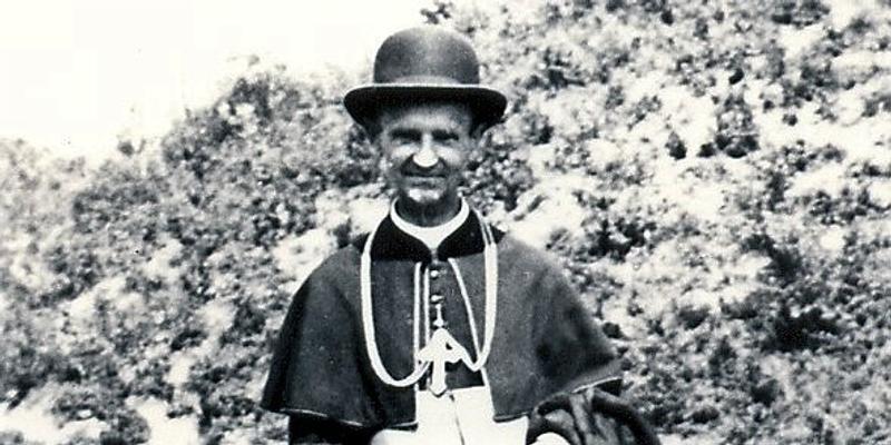 JANEZ FRANČIŠEK GNIDOVEC