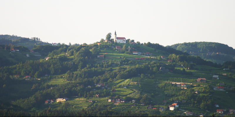 TRŠKA GORA
