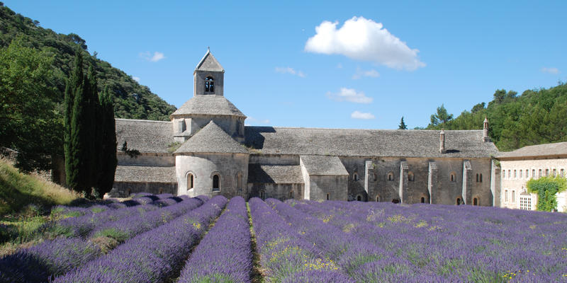 ABBEY SENANQUE