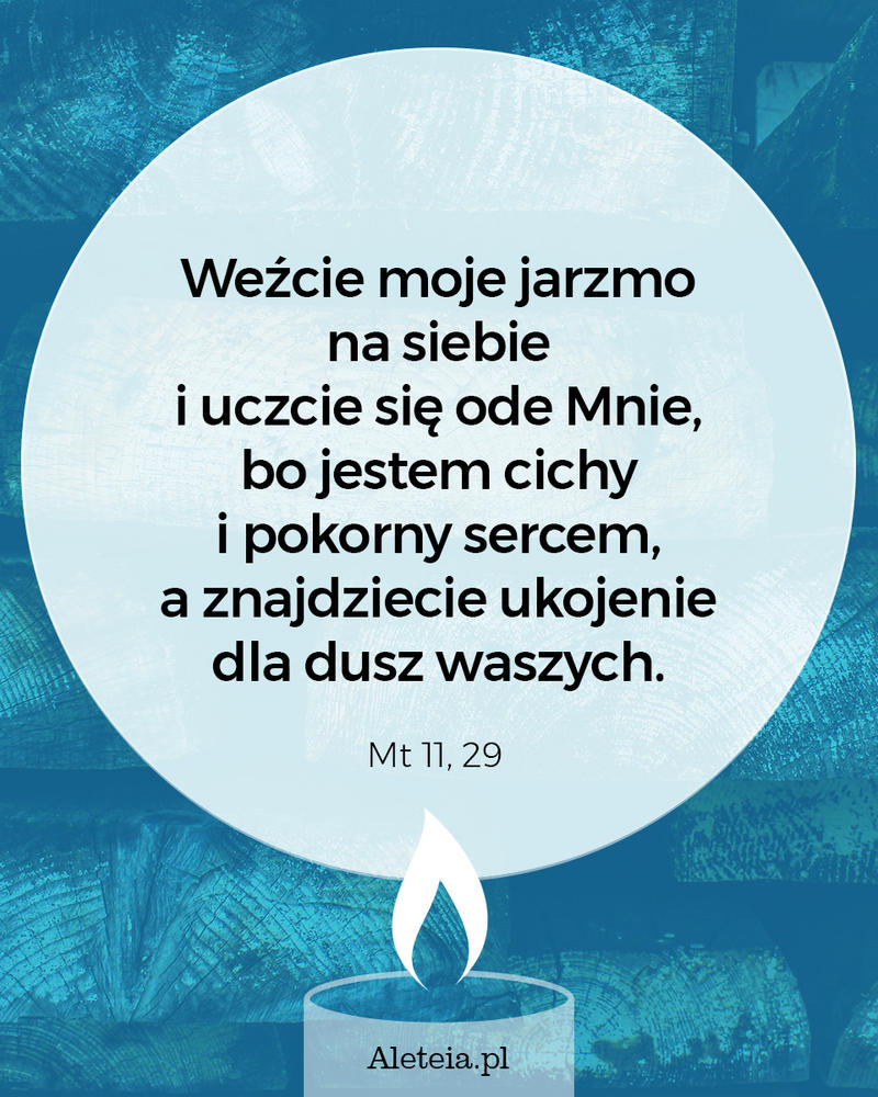 Cytat z Pisma Świętego Mt 11 29