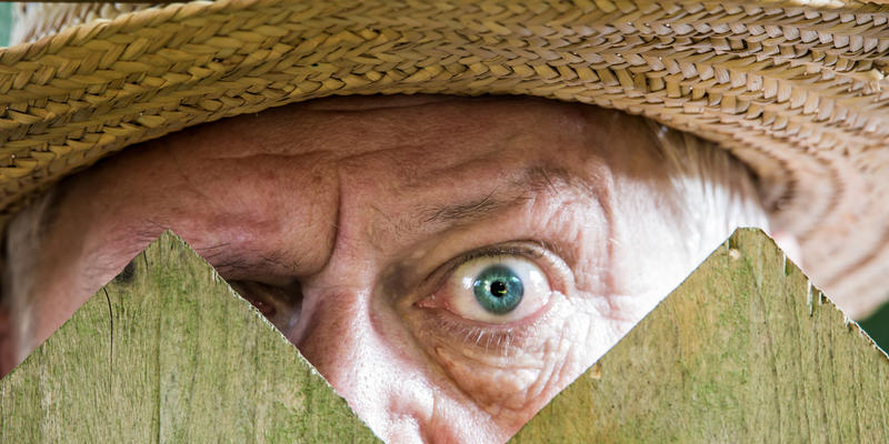 MAN, EYE, FENCE