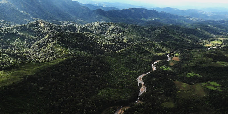 TARIQUIA