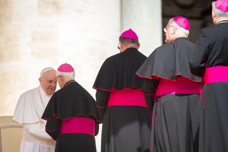POPE AUDIENCE