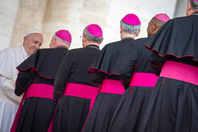 POPE AUDIENCE