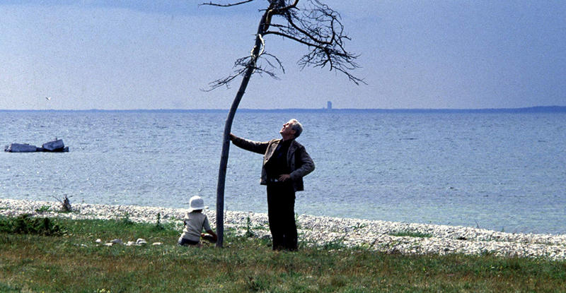 CANNES; SACRIFICE