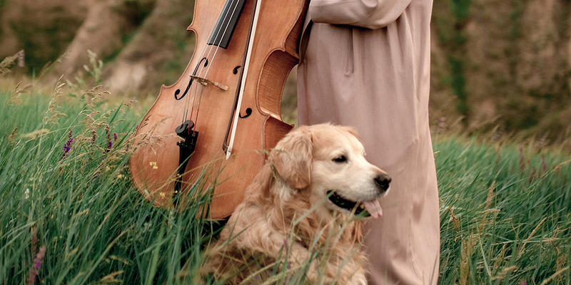 CLASSICAL MUSIC AND PETS