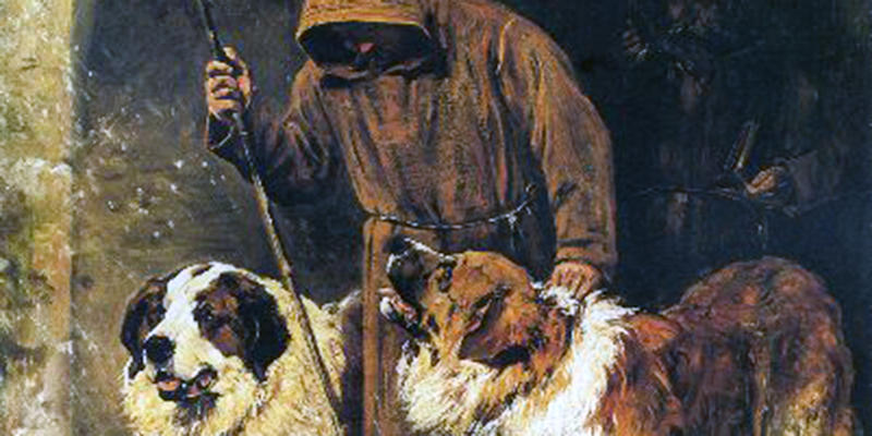 SAINT BENARD DOGS