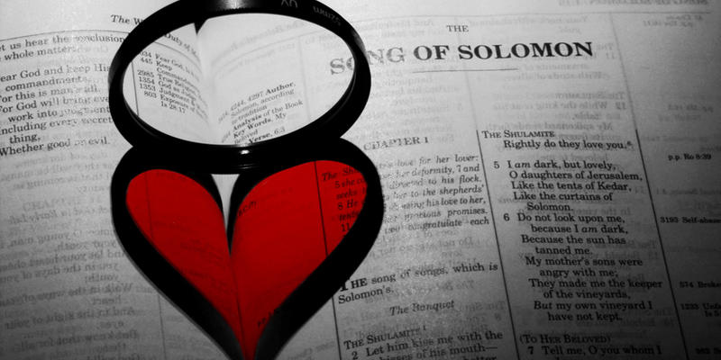 SONG OF SOLOMON
