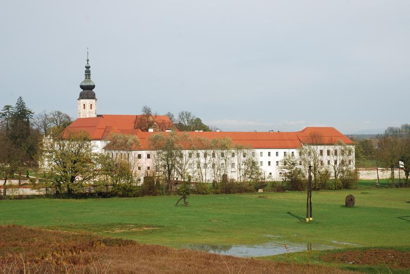 KOSTANJEVICA NA KRKI