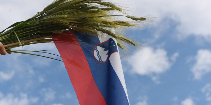 SLOVENIAN FLAG