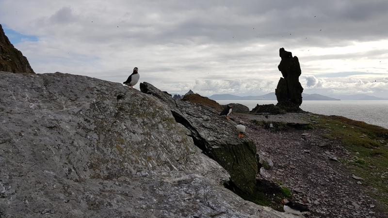 SKELLIG;ISLAND;TRAVEL;STAR;WARS;SEA;KS01;KS072319A - Aleteia Polska WYSPA SKELLIG