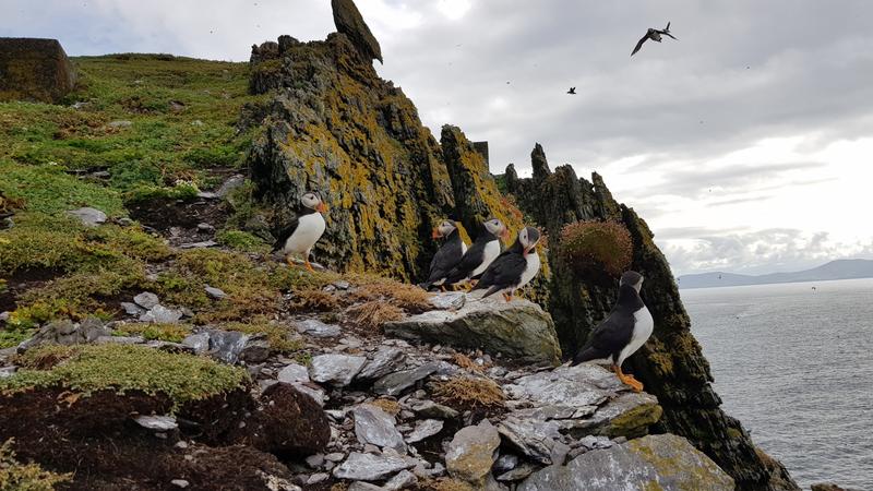 SKELLIG;ISLAND;TRAVEL;STAR;WARS;SEA;KS01;KS072319A - Aleteia Polska WYSPA SKELLIG