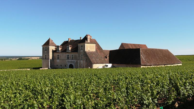 web2-wine-bourgogne-chateau-de-clos-de-vougeot-374419_1920.jpg