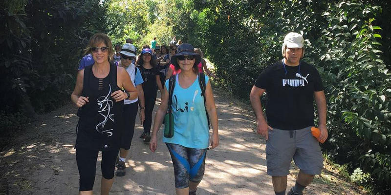 CAMINO DE SANTIAGO