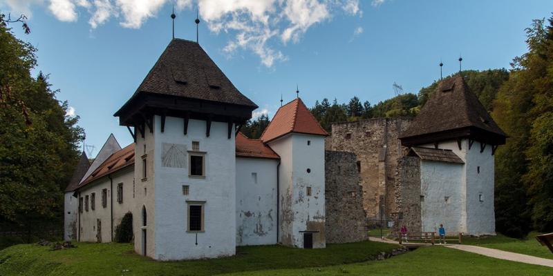 ŽIČKA KARTUZIJA