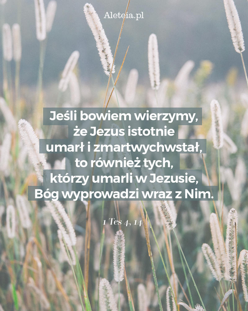 biblia21_1-tes-4_14_aleteia.jpg - Aleteia Polska Cytat z Biblii 1 Tes 4,14