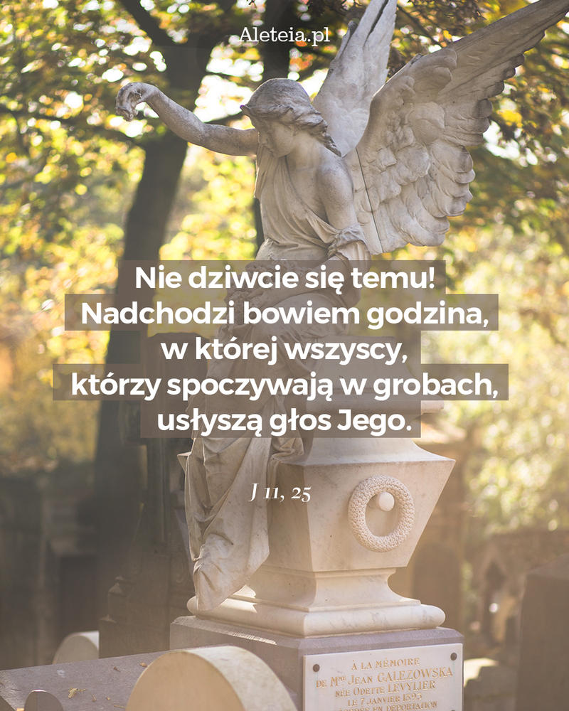 biblia21_j_11_25_aleteia.jpg - Aleteia Polska Cytat z Biblii J 11,25