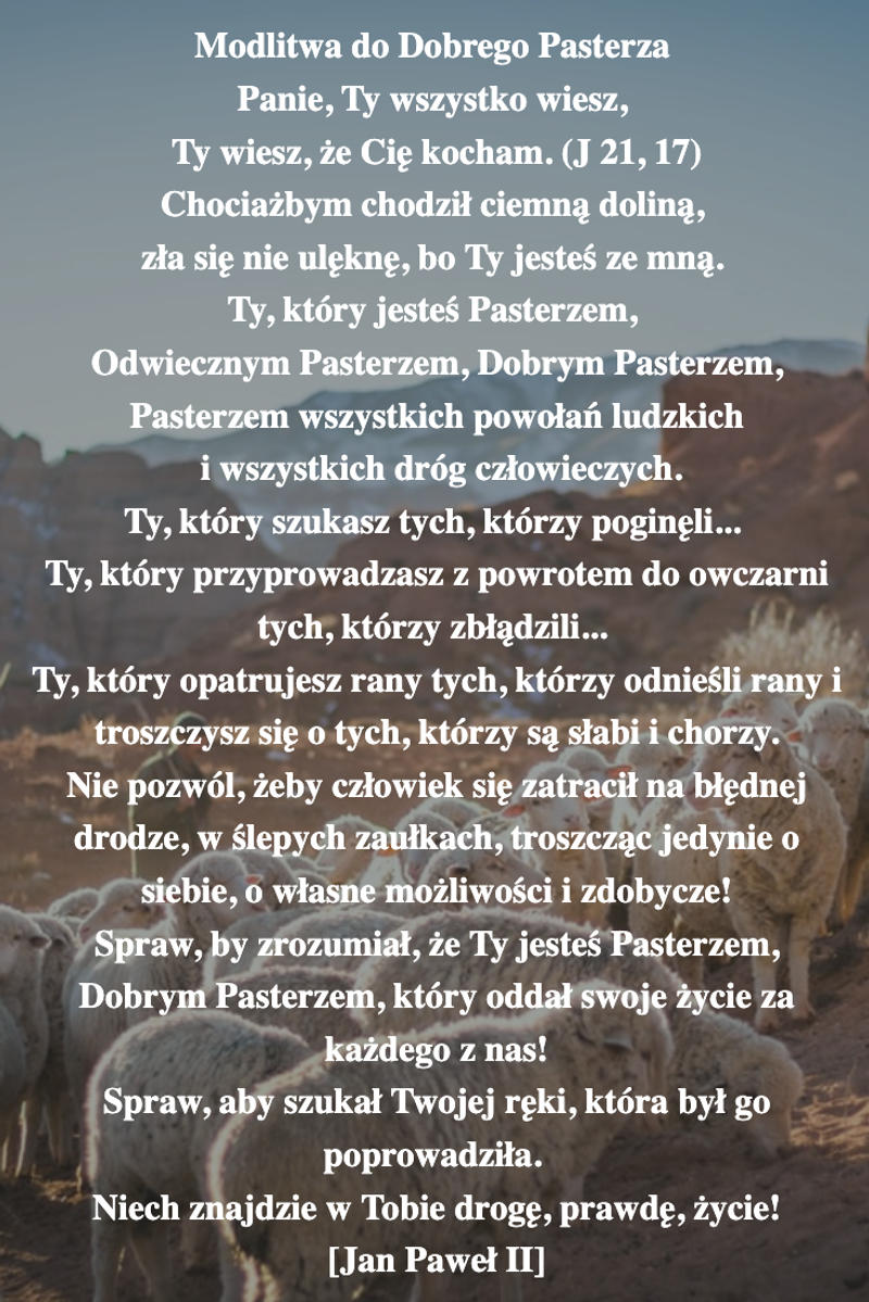 modlitwa-do-dobrego-pasterza-.png - Aleteia Polska