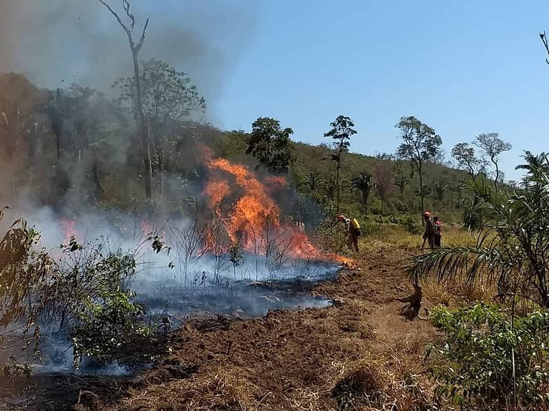 MATO GROSSO