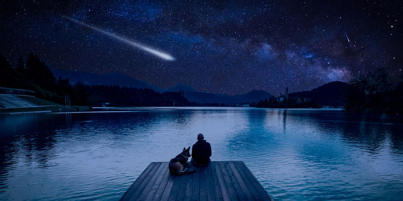 PERSEIDS