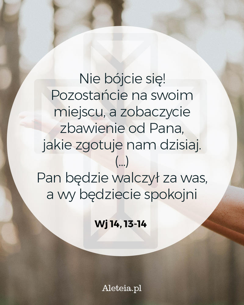biblia18_wj_14_13-14_aleteia.jpg - Aleteia Polska Biblia Wj 14,13-14