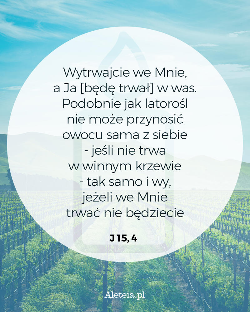 biblia20_-j_15_4_aleteia.jpg - Aleteia Polska J 15,4