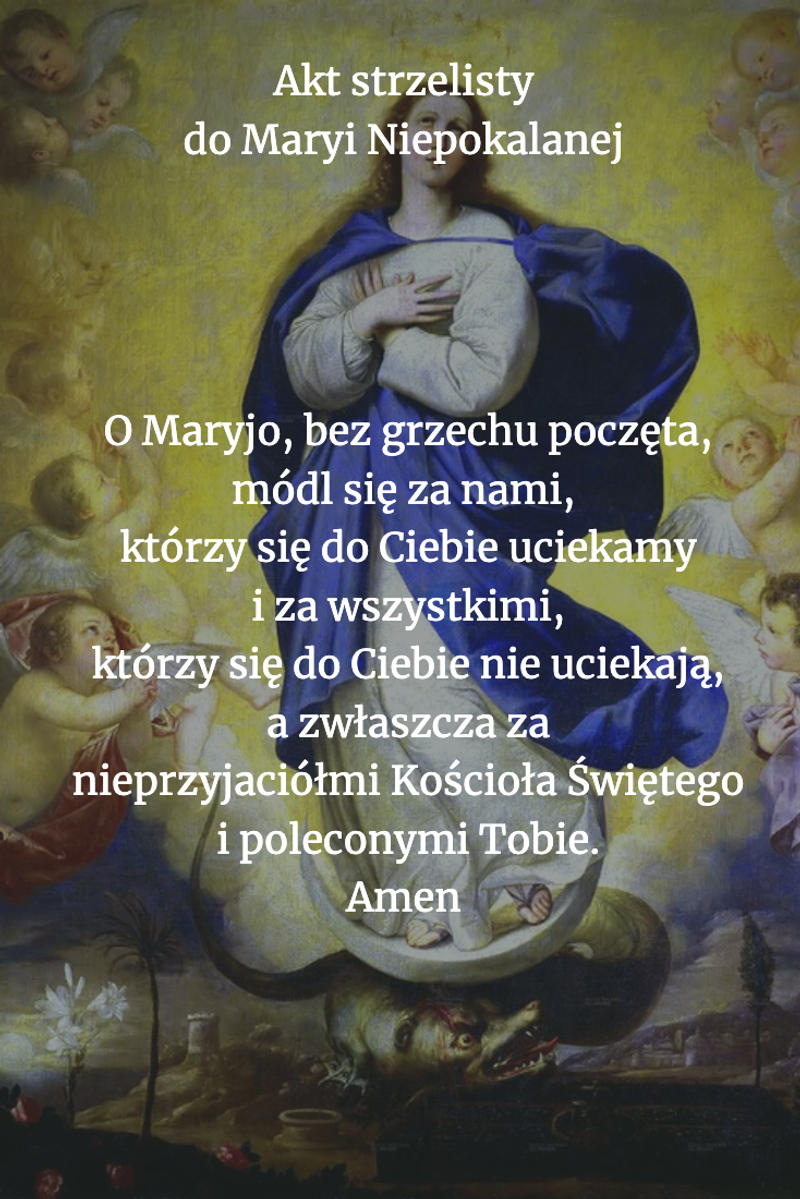 modlitwa-akt-strzelisty-do-maryi-niepokalanej-.png - Aleteia Polska