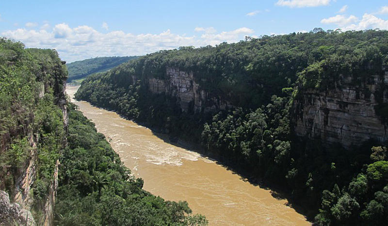 ARACUARA