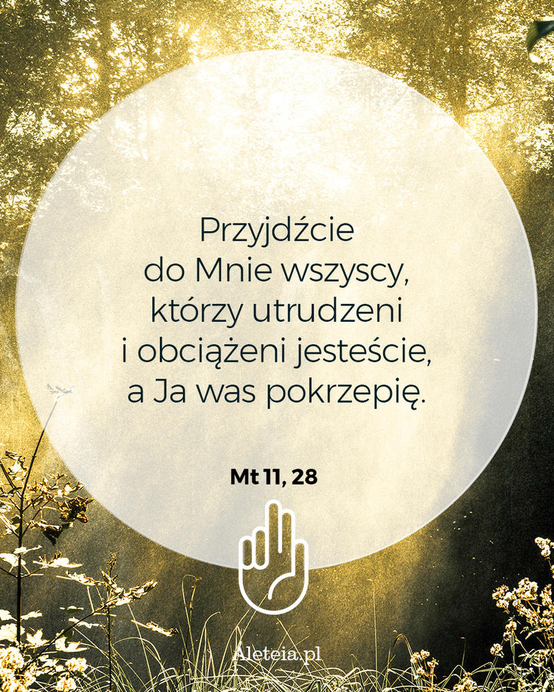 biblia16_mt_11_28_aleteia4.jpg - Aleteia Polska Cytat z Biblii Mt 11,28