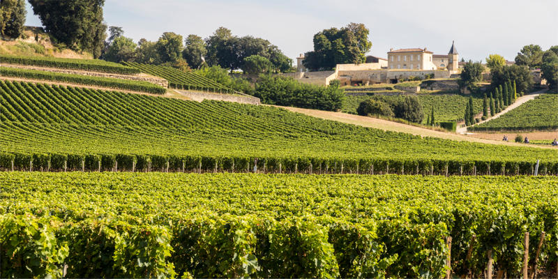 le domaine de saint émilion