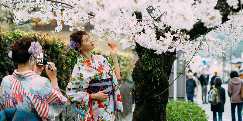 JAPONIA