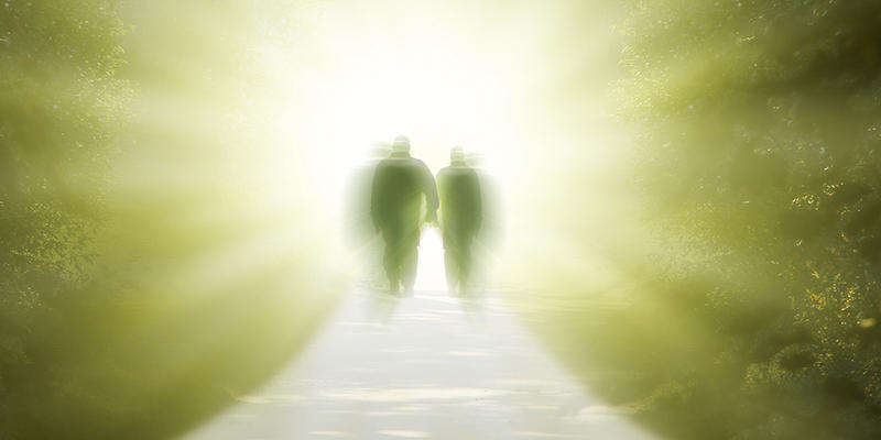 AFTERLIFE