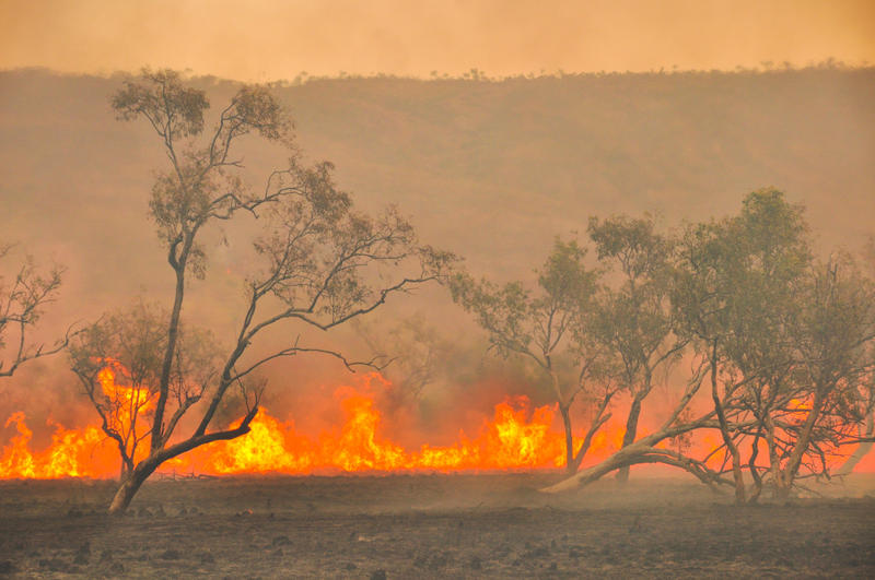 5,5 millions d'hectares sont partis en fumée en quatre mois.