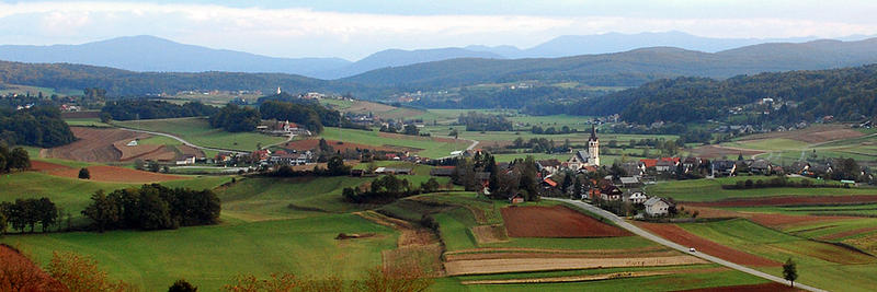 MIRNA-PEC