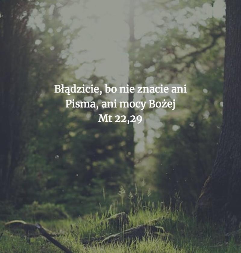 Cytat z Biblii [Mt 22, 29]