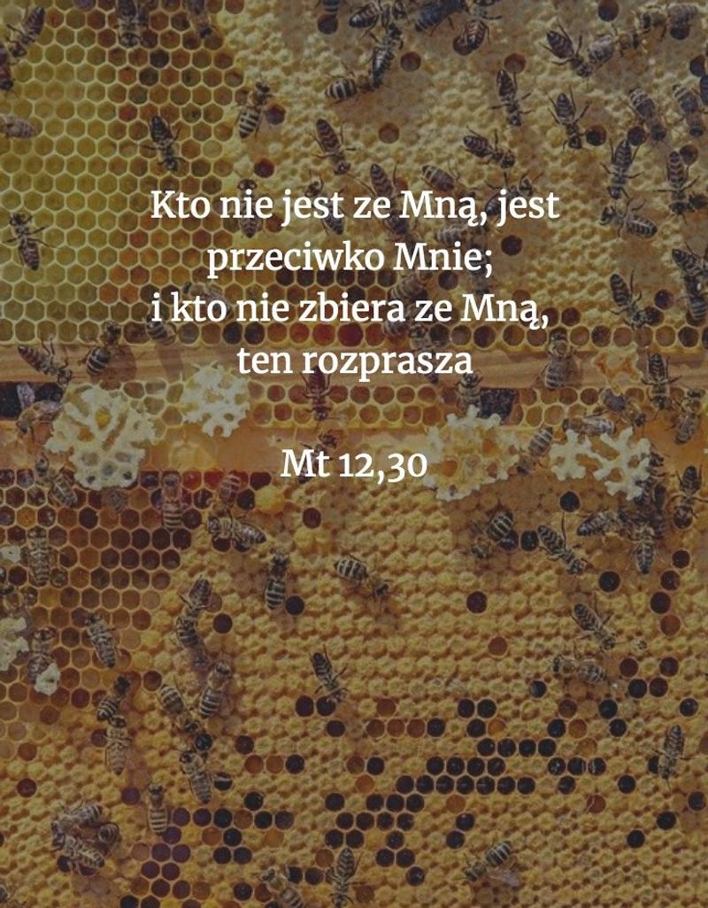 biblia_75552896_2460850127377356_9074439381531492352_o-e1591362221835.jpg - Aleteia Polska